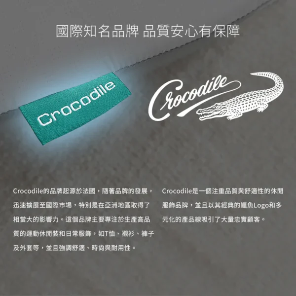 【涼感科技機能蝶型枕】枕頭枕芯涼感 額外附贈替換枕頭套：圖片 5